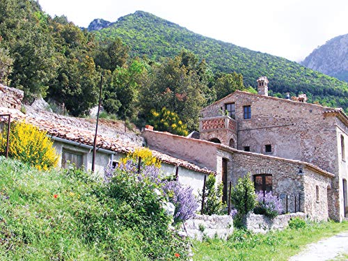 LA VIDA ES BELLA - Caja Regalo Amor para Parejas - Viaje de ensueño Rural - Ideas Regalos Originales - 1 Noche con Desayuno y Cena o SPA o 2 Noches con Desayuno para 2 Personas