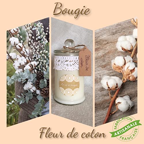 La Vie en Bougies Vela perfumada artesanal francesa, 100% cera de soja ideal para regalo de San Valentín, Día de la Madre, Día de la Madre, cumpleaños o Navidad