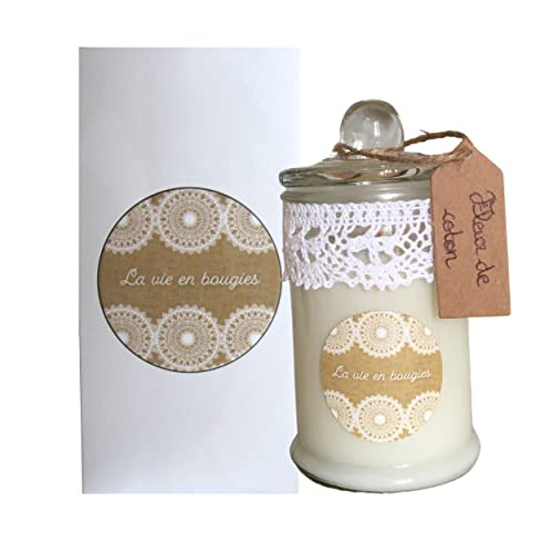 La Vie en Bougies Vela perfumada artesanal francesa, 100% cera de soja ideal para regalo de San Valentín, Día de la Madre, Día de la Madre, cumpleaños o Navidad