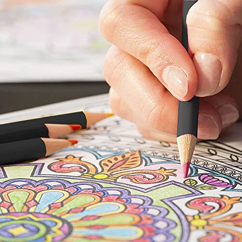 Lápices de Colores Profesionales para Adultos y Niños, Lypumso 72 Lápices de Dibujo de Colores Vibrantes, Ideal para Colorear y Crear Pinturas, Adecuado para Artistas y Principiantes
