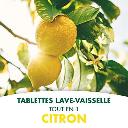 L'arbre vert Tablettes Lave Vaisselle Hydrosolubles Citron 30 Tablettes 547,5 g