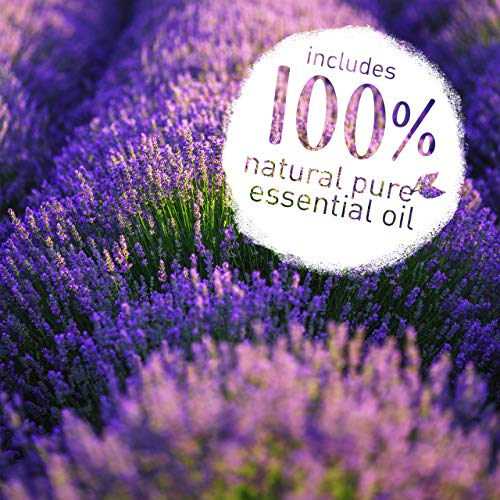 LAVODIA Espray de Lavanda para Almohada para Dormir con auténtico Aceite de Lavanda Natural para una Buena Noche (50 ml en Spray de Lavanda)