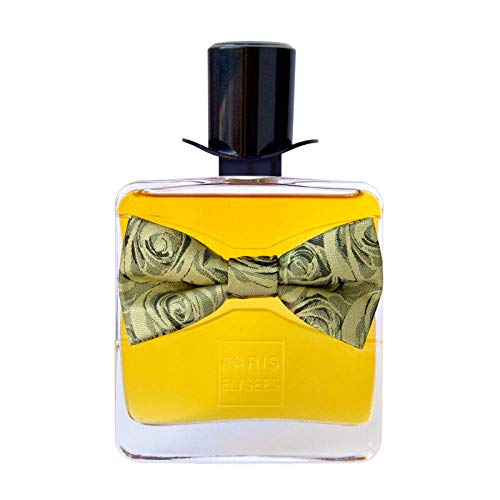 Le Parfum du du Homme SECRET Eau de Toilette 100 ml Hombre Paris Elysees
