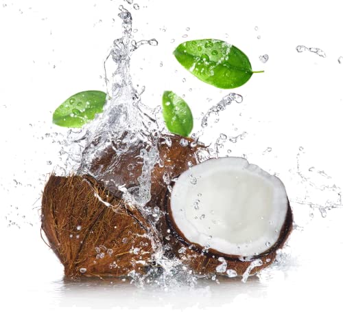 Leche de coco en polvo | Orgánica | BIO | Vegana | Sin Gluten | Samskara (500gr)