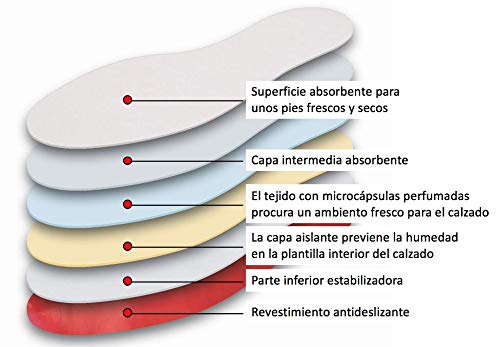 Lenzen 10 Pares de Plantillas Extra Finas para Pies Secos I Suelas Transpirables con una Superficie Absorbente I Suelas frescas con desodorante (40)