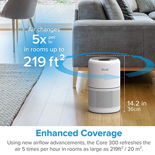 LEVOIT Purificador de Aire + Filtro anti-alergia