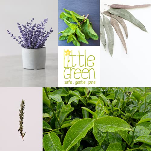 Little Green - Acondicionador desenredante anti piojos 240 ml con extracto de árbol de té | impide la aparición de piojos