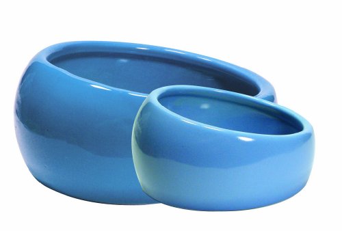 LIVING WORLD Comedero Ergonómico Pequeño, Color Azul