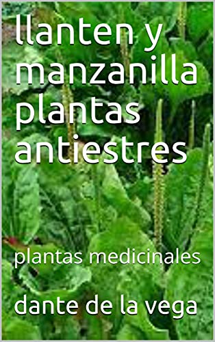 llanten y manzanilla plantas antiestres: plantas medicinales