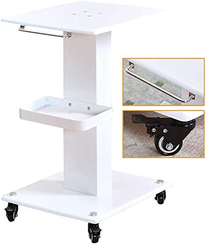 Lloow Almacenamiento Trolley Equipo Trolleys for Médico Hair Beauty SPA, Soporte de Burbujas Pequeño Peluquería Camión - Blanco Carros de Almacenamiento