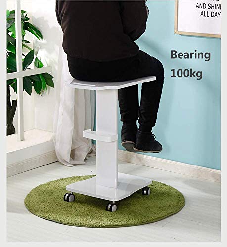 Lloow Almacenamiento Trolley Equipo Trolleys for Médico Hair Beauty SPA, Soporte de Burbujas Pequeño Peluquería Camión - Blanco Carros de Almacenamiento