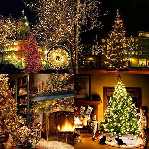 Luces Navidad Exterior, Elegear 100M 1000 LEDs Guirnalda Luces Exterior, IP44 Impermeable Luces Navidad, Guirnalda Decoracion con 8 Modo para árboles de Navidad, Fiestas, Jardines,Casa