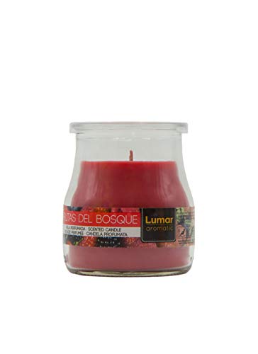 Lumar - Juego de 12 Velas perfumadas Decorativas en Vaso 7 X 6cm. (3 Frutas del Bosque, 3 Canela en Rama, 3 Vainilla Ice, 3 Dulce de Coco)