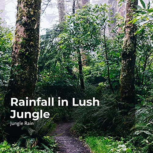 Lush Jungle Rainstorm