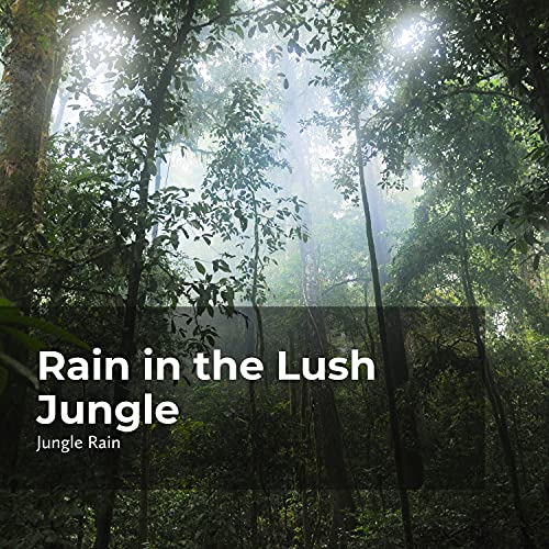 Lush Jungle Rainstorm
