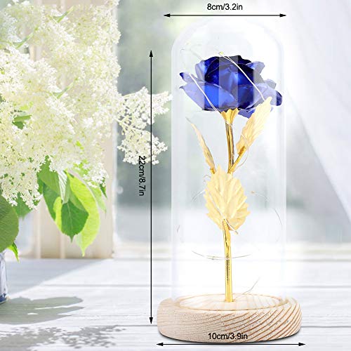 Luz LED de Flor de Rosa conservada con Cubierta de Vidrio y Base de Madera para el cumpleaños de Valentines'Day Cumpleaños de Navidad Aniversario (Azul)