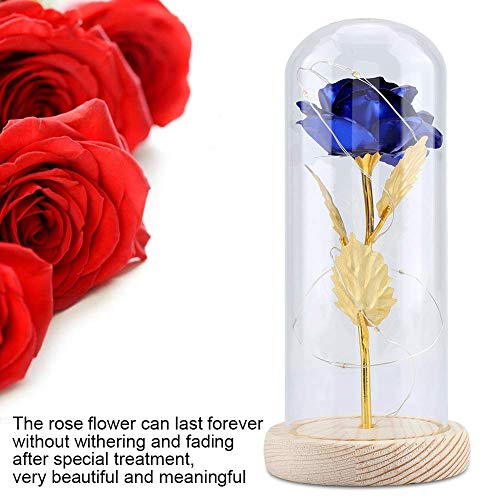 Luz LED de Flor de Rosa conservada con Cubierta de Vidrio y Base de Madera para el cumpleaños de Valentines'Day Cumpleaños de Navidad Aniversario (Azul)