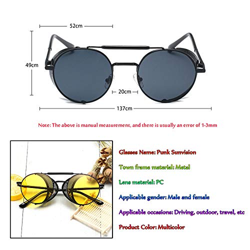 LZQpearl Gafas De Sol De Conducción Punk De Moda, Gafas Retro Personalizadas, Gafas De Sol De Pareja, Hombres Y Mujeres, Adecuadas para Citas, Fiestas, Viajes, Ciclismo, (B)
