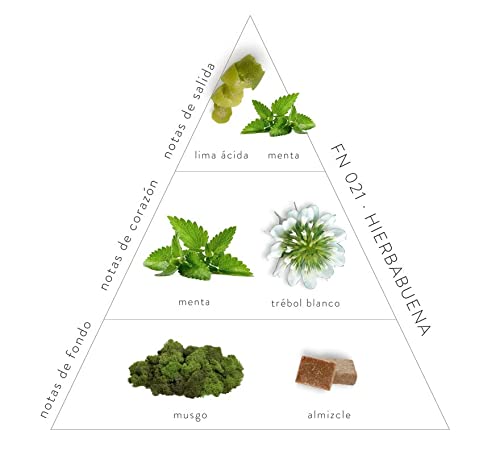 MA MEDITAROMA Fragancia Ambientador Hierbabuena - Recarga Difusor - Intensidad Duradera - Casas - Profesional - Ambientador Electrico - Difusor de Aromas - 125 ML
