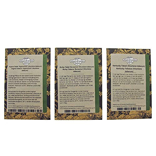 Magic Garden Seeds Tabaco de Pipa - Kit Regalo de Semillas con 3 variedades de Nicotiana para Mezclas clásicas