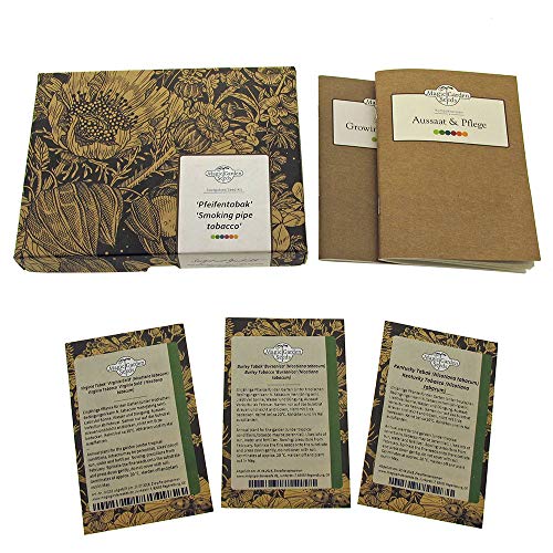Magic Garden Seeds Tabaco de Pipa - Kit Regalo de Semillas con 3 variedades de Nicotiana para Mezclas clásicas