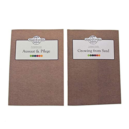 Magic Garden Seeds Tabaco de Pipa - Kit Regalo de Semillas con 3 variedades de Nicotiana para Mezclas clásicas