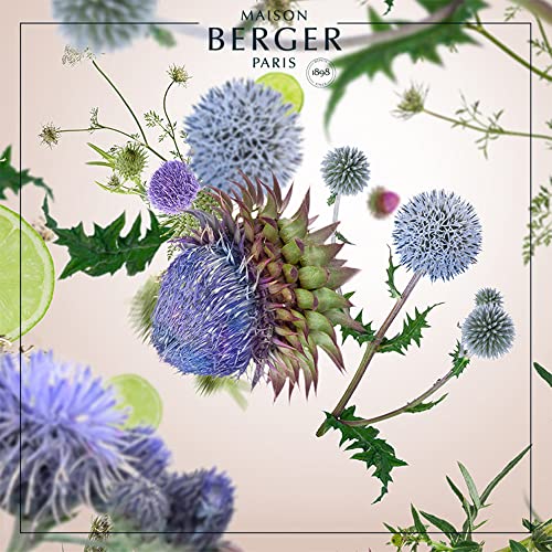 Maison Berger Paris Chardon Sauvage Fragancia, 500 ml