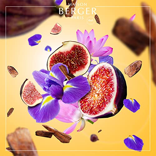 Maison Berger - Recarga de perfume para lámpara Berger (500 ml) LAIT de FIGUE - SWEET FIG