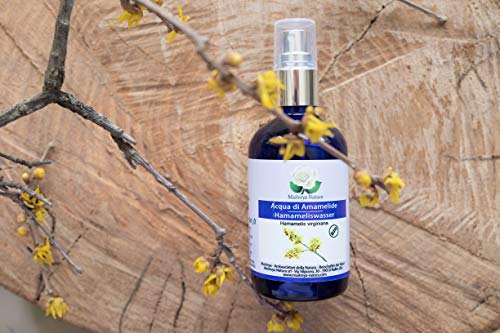Maitreya Natura HIDROLATO de HAMAMELIS Orgánico, 100% puro y natural, 100ml - aromaterapia, agua perfumada, cosmética - calidad controlada y certificada, libre de crueldad animal, vegano