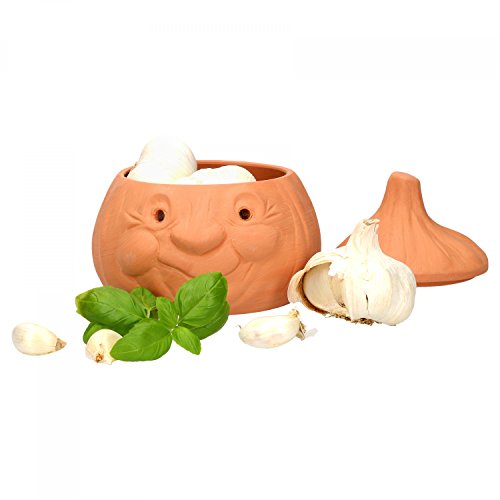 Mambocat Ajo Olla Knut, Tarro de terracota para guardar aprox. 250g ajos, Divertido recipiente para almacenar ajo, Tarro de conservación para alimentos