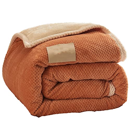 Manta Cubre Sofa Chaise Longue 180x220cm, Mantas para Sofa Grandes Decorativas, Natural Mantas De Invierno,Calidad Diseño, para Cama De Matrimonio De Microfibra (F 180x220cm)