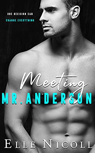 Meeting Mr Anderson (The Men Series Book 1) (English Edition)