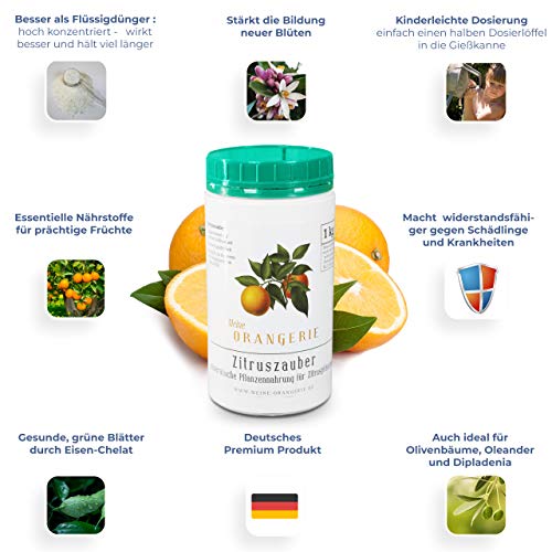 Meine Orangerie Abono para cítricos para todas las plantas cítricas – [1 kg] – Abono premium para plantas – Abono líquido para cítricos para sus plantas – Fertilizante cítrico para limón