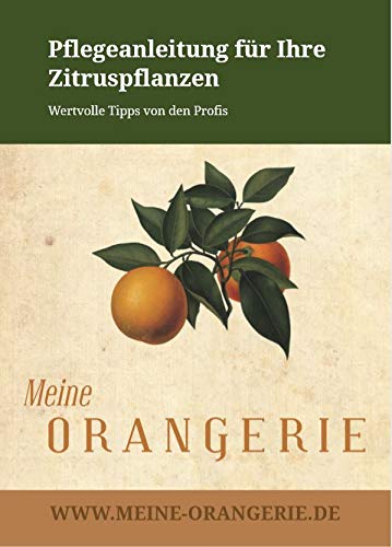 Meine Orangerie Paquete de cuidado de cítricos Mezzo: la mejor tierra cítrica + fertilizante potente para cítricos + útil medidor de humedad + folleto de cuidado (idioma español no garantizado).