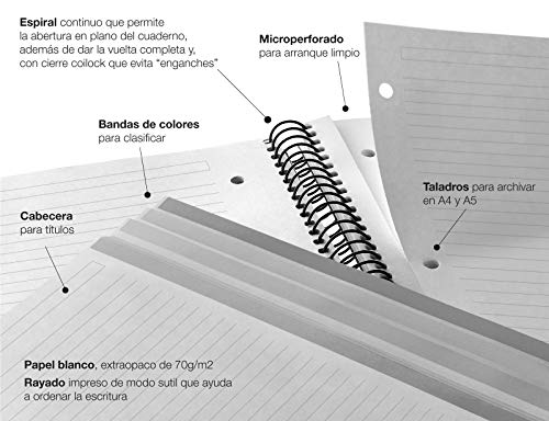 Miquelrius 48007 - Cuaderno Espiral A4, Tapa Dura, 120 Hojas Horizontal Interior, 4 Colores Granada