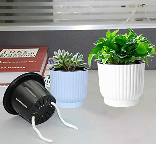 MOHENA Macetas de riego automático de 10cm con Cuerda Contton para Plantas de Interior, macetas de plástico para Todas Las Plantas de la casa, Flores, violetas africanas, Paquete Azul de 6