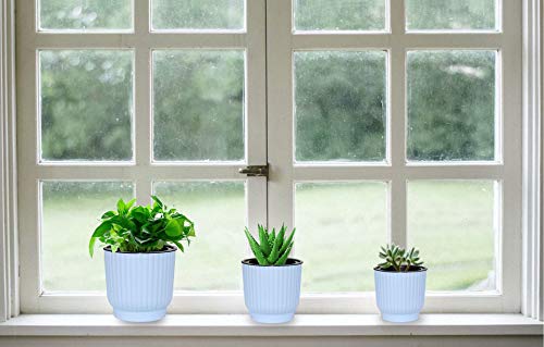 MOHENA Macetas de riego automático de 10cm con Cuerda Contton para Plantas de Interior, macetas de plástico para Todas Las Plantas de la casa, Flores, violetas africanas, Paquete Azul de 6