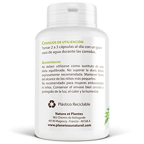 Moringa Oleifera Orgánica - 400 mg - 200 cápsulas vegetales