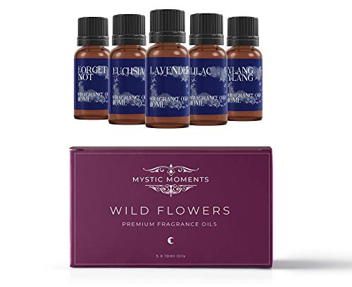 Mystic Moments Paquete de Inicio de Aceite fragante, Flores Silvestres, 5 x 10 ml