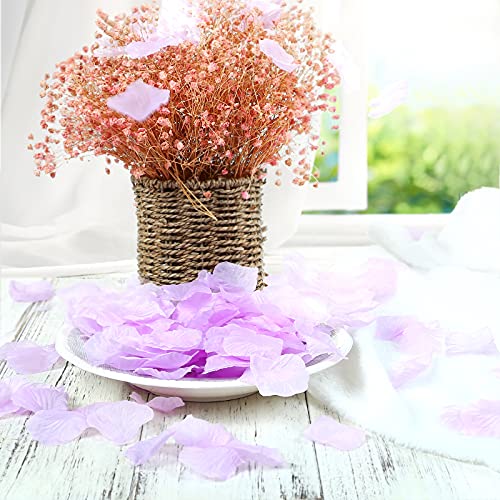 Naler 2000 pétalos de Rosa Artificiales para la decoración doméstica del Partido Violeta Claro