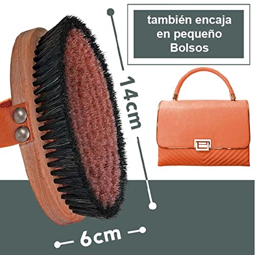 Naturls Cepillo para el cuerpo – Cepillo de cobre con caja de regalo de hierba de alta calidad – Cepillo de madera de haya FSC – Fabricado en Alemania – Dry Brush con aplicación y consejos de cuidado