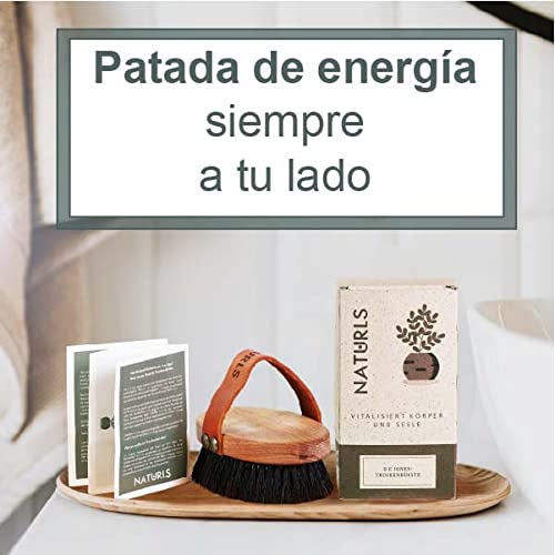 Naturls Cepillo para el cuerpo – Cepillo de cobre con caja de regalo de hierba de alta calidad – Cepillo de madera de haya FSC – Fabricado en Alemania – Dry Brush con aplicación y consejos de cuidado