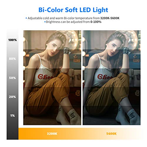 Neewer Kit de Iluminación de Video LED con Soporte de Luz de 178cm, 2 Pack Luces de Video Suave de 384 LED, Batería de Litio Incorporada 3200K-5600K CRI 97+ Panel de Luz Ultrafino en Cámara Youtube