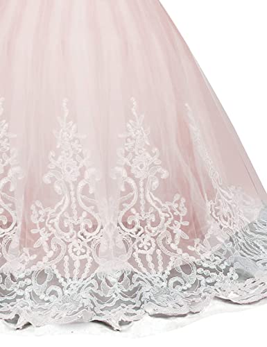 NNJXD Niñas Bordado De Encaje Flor De La Boda Fiesta De Cumpleaños Princesa Vestido de Cola Larga Tamaño (130) 6-7 años 406 Rosa-A