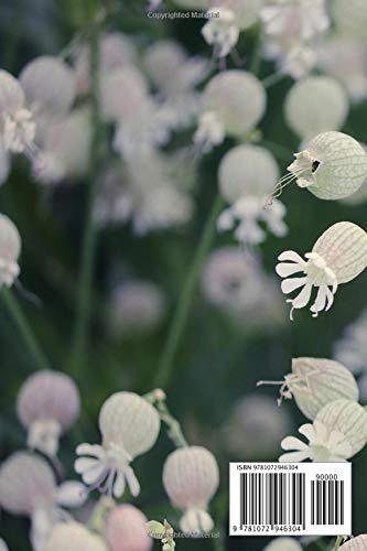 notebook: 6x9 cute lined journal | grapes goiter-campion silene vulgaris
