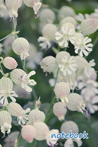 notebook: 6x9 cute lined journal | grapes goiter-campion silene vulgaris