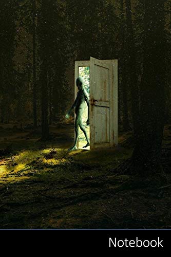 Notebook: Misterio, Aire Libre, Spooky, Fantasía Cuaderno / Diario / Libro de escritura / Notas - 6 x 9 pulgadas (15.24 x 22.86 cm), 150 páginas, superficie brillante.