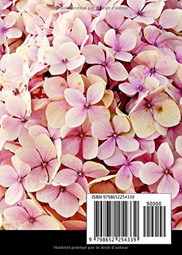 Notes et idées: Petit carnet de notes | journal intime hortensia fleur nature belle flore été lumineux jardin | format A6, ligné. Durable et neutre pour le climat.