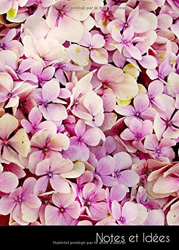 Notes et idées: Petit carnet de notes | journal intime hortensia fleur nature belle flore été lumineux jardin | format A6, ligné. Durable et neutre pour le climat.