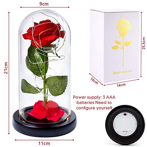 nuomaidi La Bella y La Bestia Rosa Encantada, Elegante Cúpula de Cristal con Base Pino Luces LED, Beauty and Beast Regalos Magicos Decoración para Día de San Valentín Aniversario Bodas